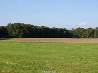 DSC08271
