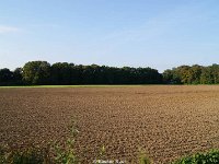 DSC08300