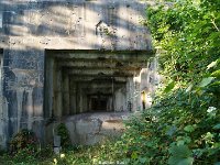 DSC08302