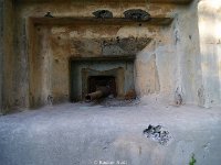 DSC08305