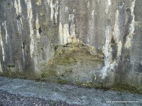 DSC09756-001