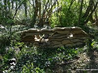DSC09781-001