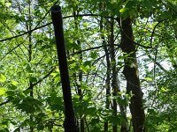 DSC09814-001