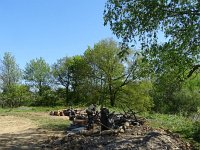 DSC09849-001