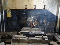 DSC09904-001