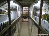 DSC09914-001