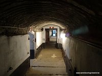 DSC09944
