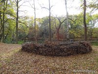 DSC05226