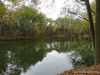 DSC05231