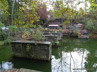 DSC05232