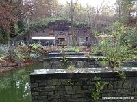 DSC05237