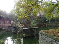 DSC05238
