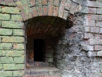 DSC05259