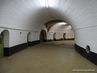 DSC05317