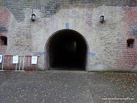 DSC05333