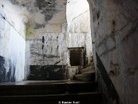 DSC05646