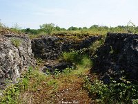 DSC05670