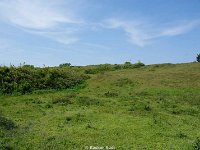 DSC05674