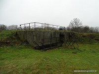 DSC07754