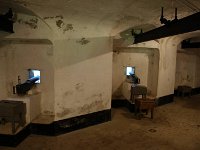 DSC06101