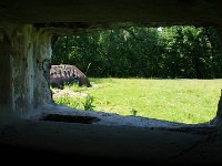 DSC06102