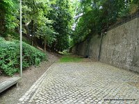 DSC01429