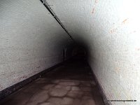 DSC02133