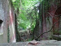 DSC02154