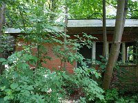 DSC05693