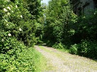DSC05694