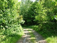 DSC05698