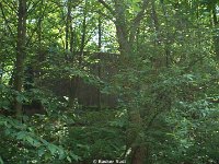 DSC05710