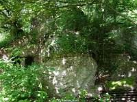 DSC05712