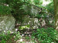 DSC05714
