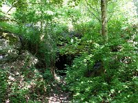 DSC05716