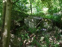 DSC05718