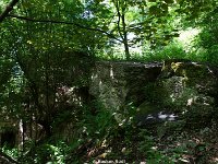 DSC05720