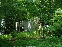 DSC05723