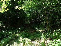 DSC05725