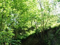 DSC05735