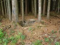 DSC05964