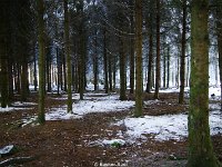 DSC09435
