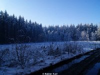 DSC09437
