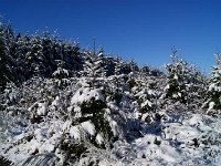 DSC09446