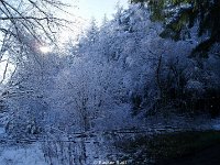 DSC09453
