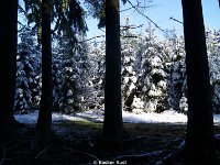 DSC09455
