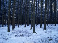 DSC09456