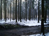 DSC09460
