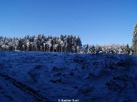 DSC09465