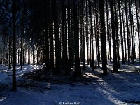 DSC09469